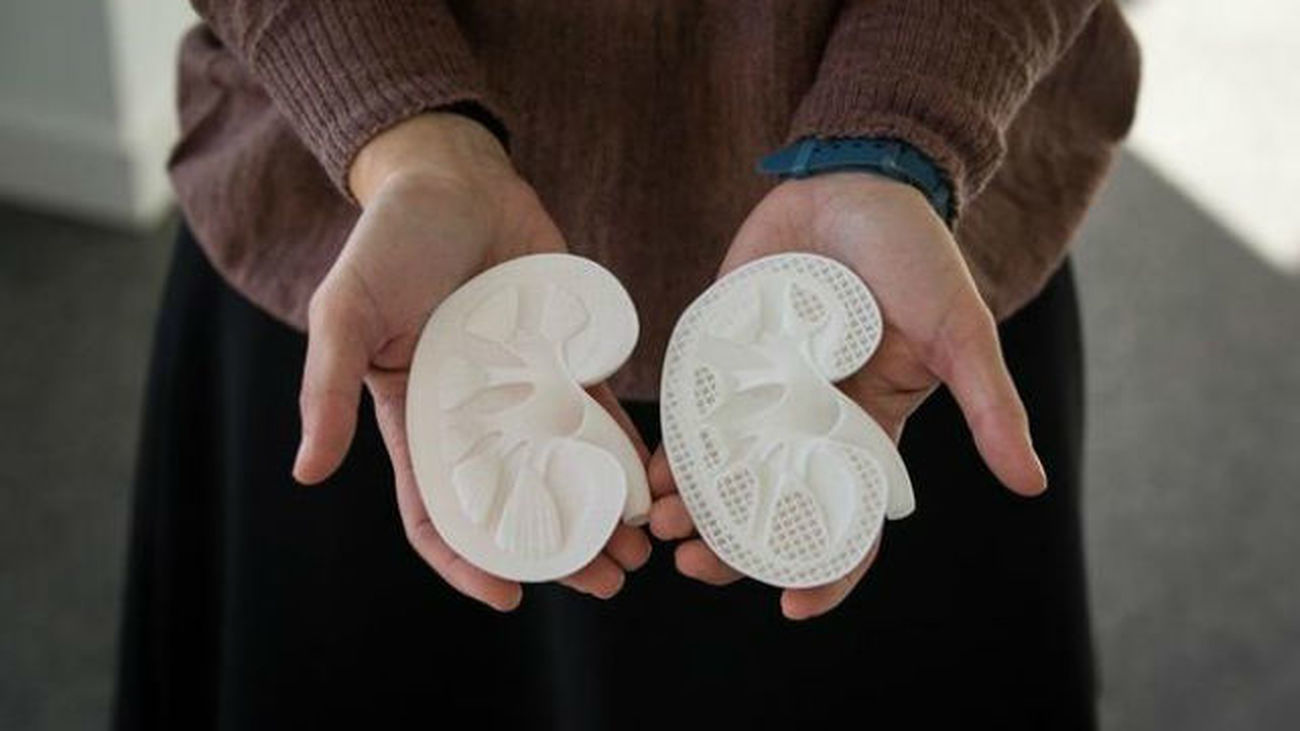 Bioingenieros plantean la creación de órganos funcionales con impresoras 3D