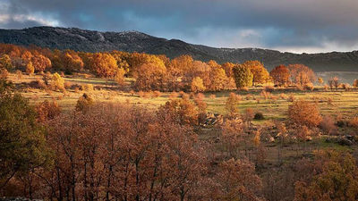 Aviso amarillo en la Sierra Norte por vientos de hasta 80 km/h