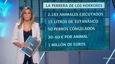 La perrera de los horrores