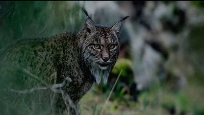 Las mejores fotos de naturaleza del mundo en Madrid