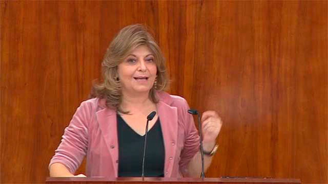 La consejera Engracia Hidalgo