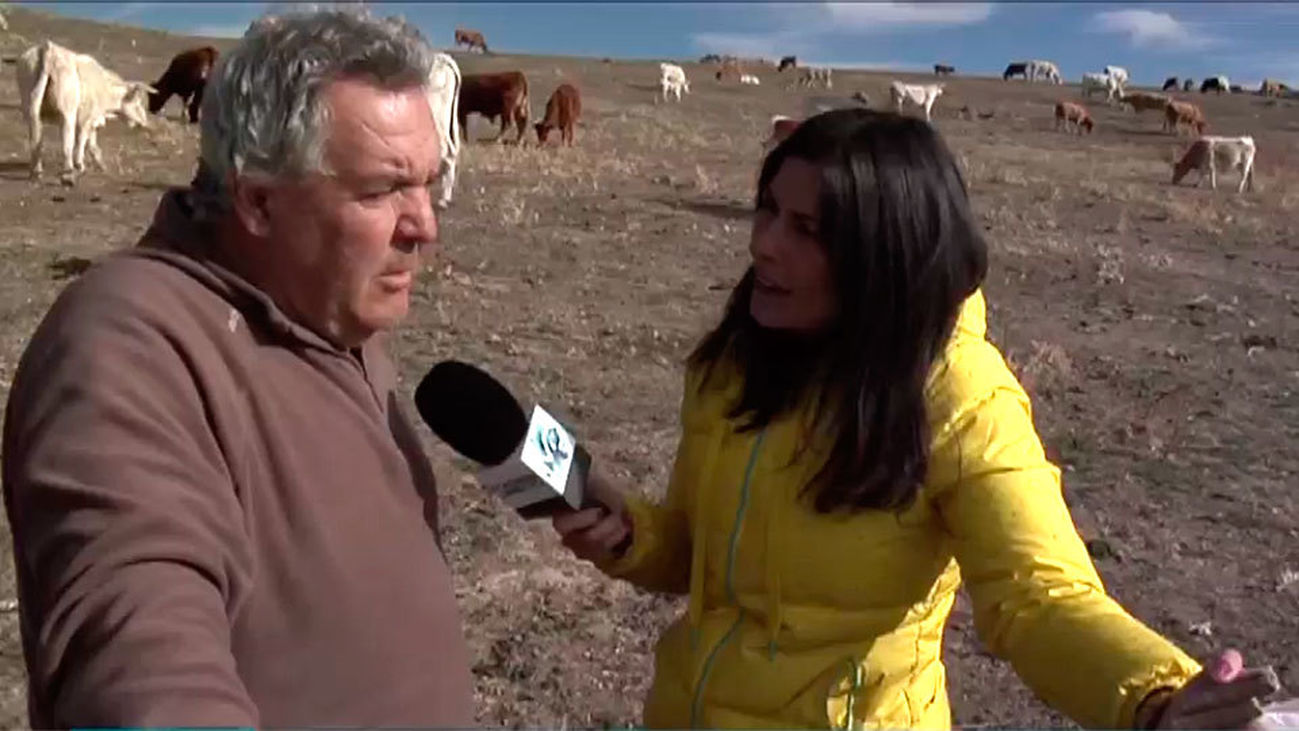 Los ganaderos madrileños están al límite