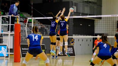 Vive el vóley 29.11.2017