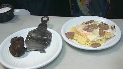 Trufa negra, el diamante del bosque