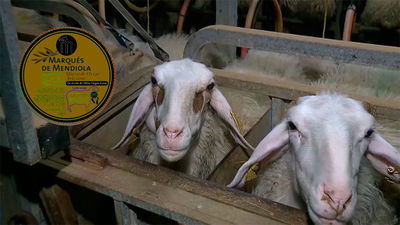 Queso madrileño, reconocido en todo el mundo