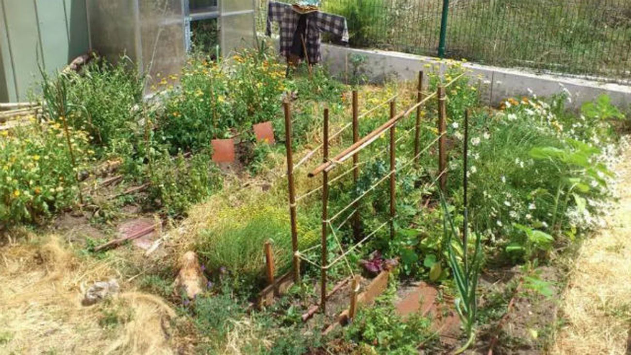 Chamberí tendrá un huerto urbano para final de año