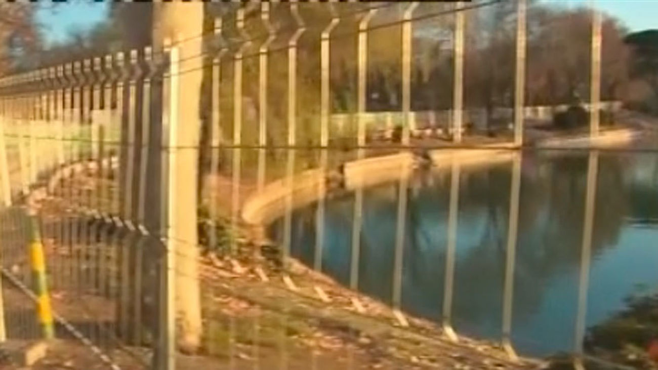 Comienza el vaciado del Lago de Casa de Campo para limpiarlo