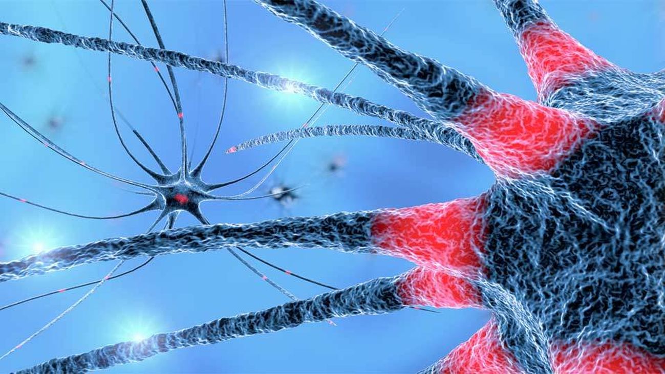 Ultrasonidos para aliviar los temblores del párkinson