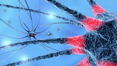 Ultrasonidos para aliviar los temblores del párkinson