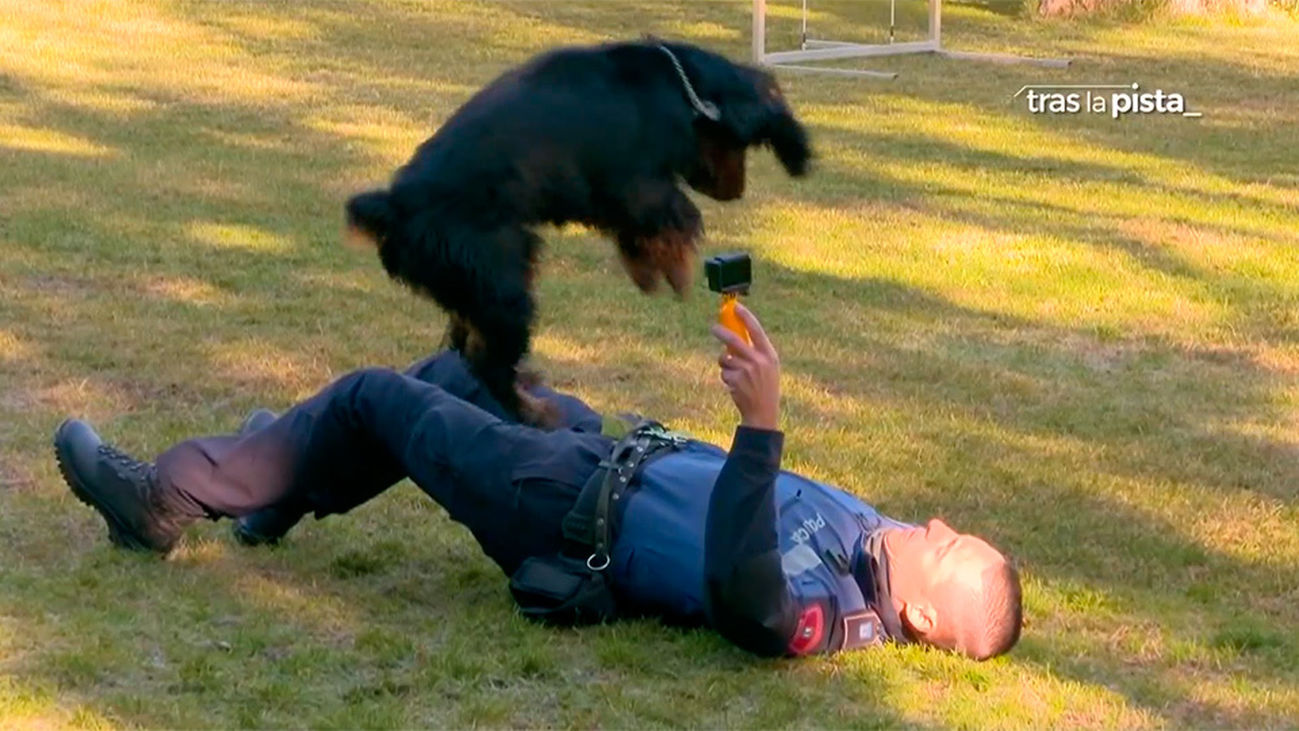 Unidad canina: Unos policías muy especiales