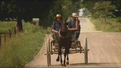 Los carros de los amish no serán regulados como vehículos de motor