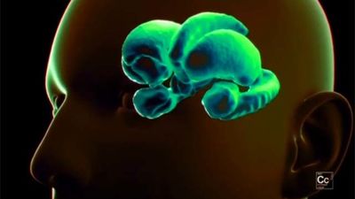 Conciencia - Cualquier tiempo pasado fue mejor