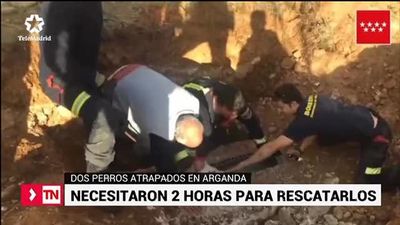 Rescatan a dos perros atrapados en una tubería en Arganda del Rey