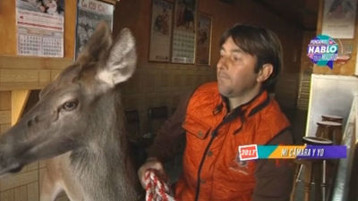 Las mascotas más peculiares