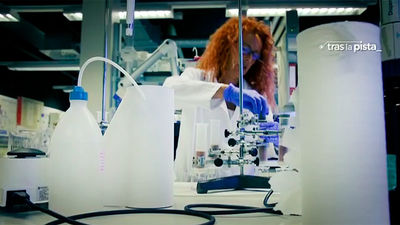 Así trabajan los forenses españoles