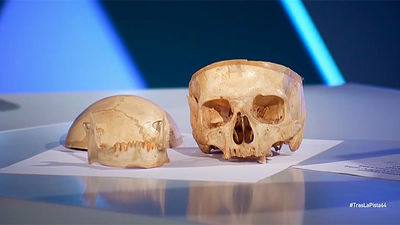 Una mandíbula en el fondo del pantano