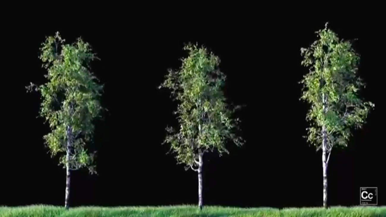 Crece la superficie verde, pero la situación no mejora