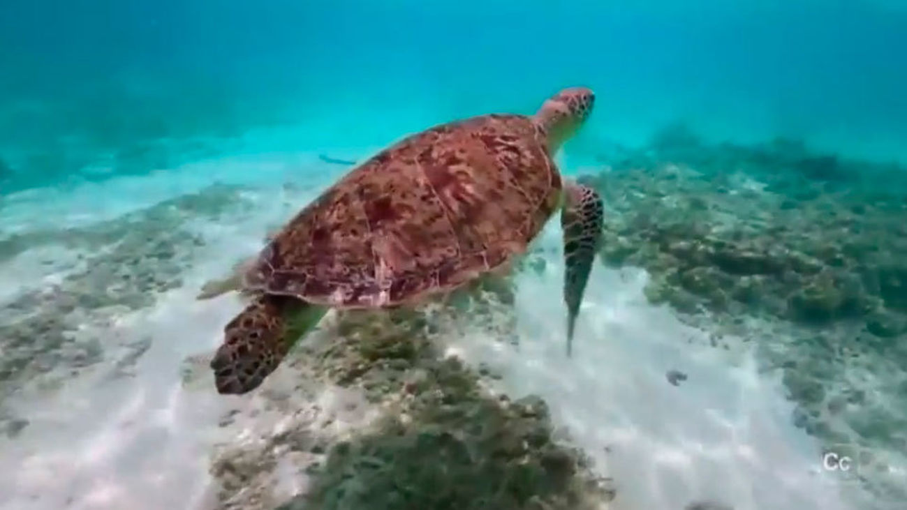 El aumento del nivel del agua y de la temperatura