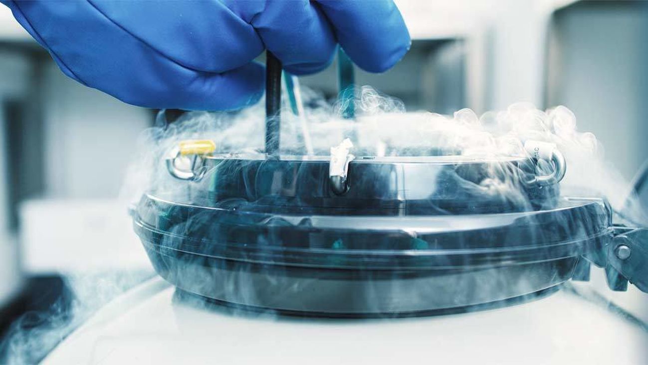 Congelación de óvulos, un modo de posponer la maternidad