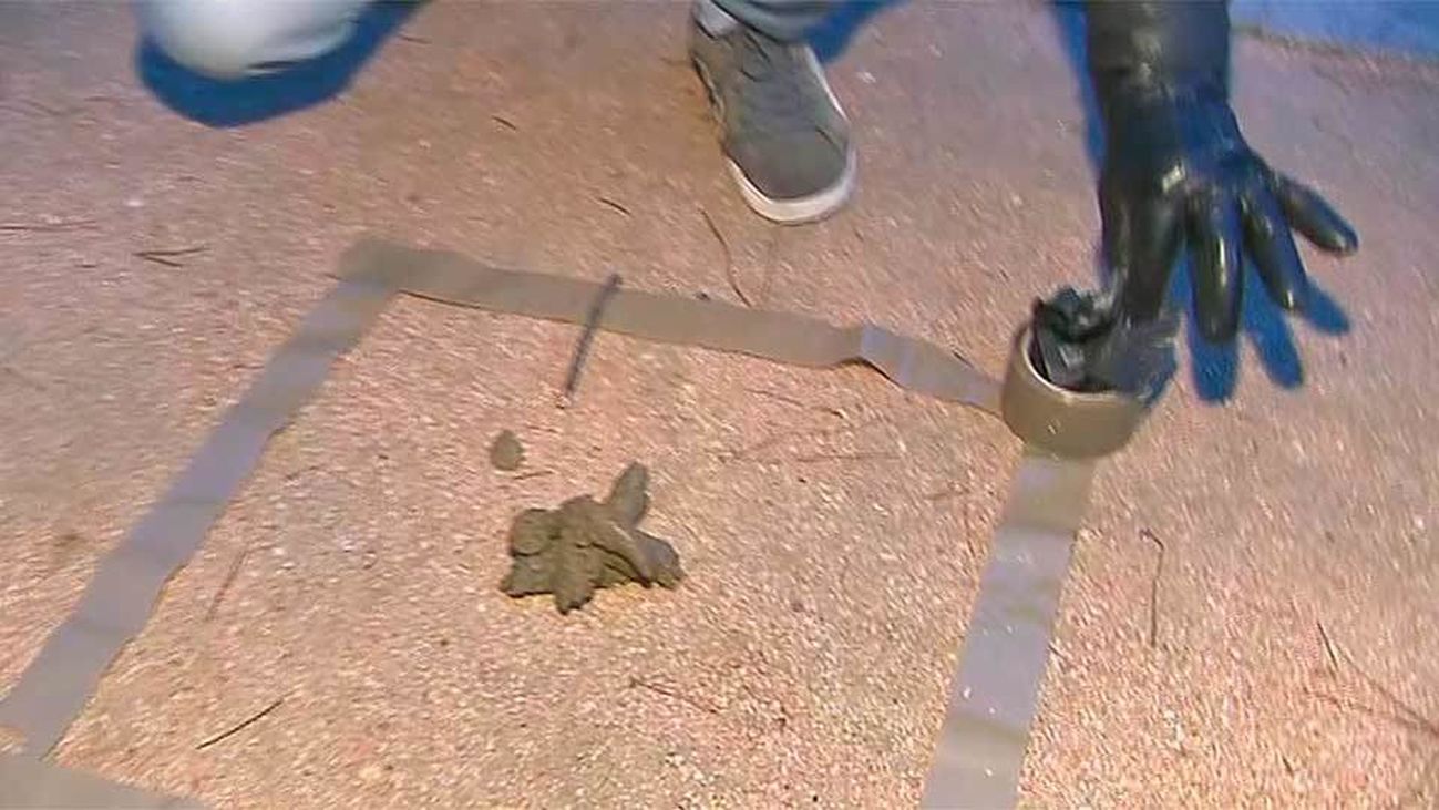 Un CSI canino para luchar contra las cacas