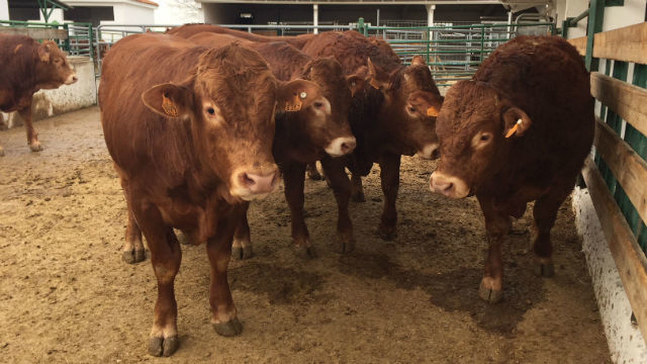 Explotaciones ganaderas en Madrid