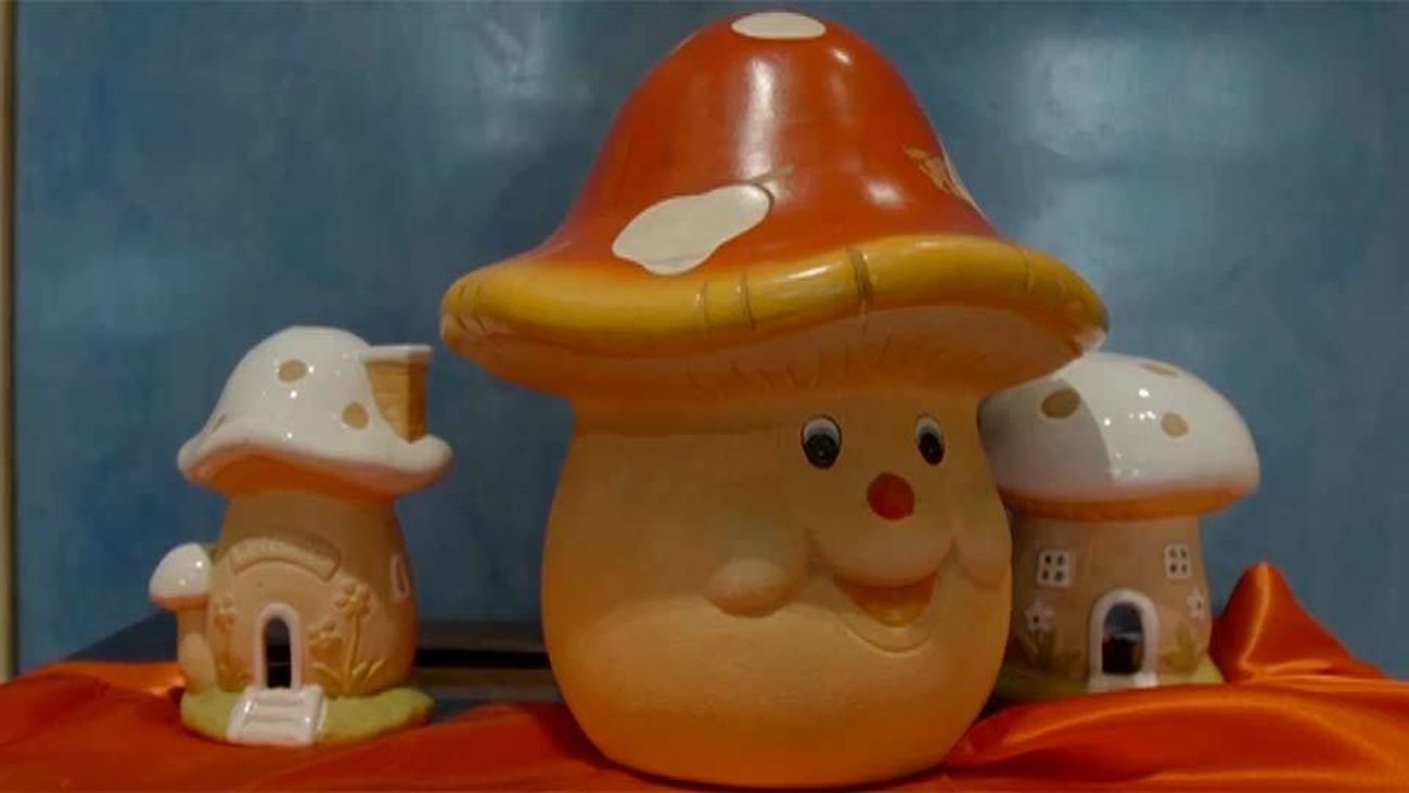 "Hay setas por todos lados"