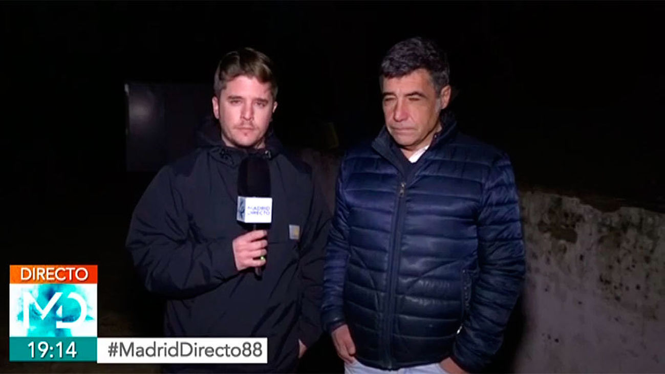 Un vecino de El Escorial puede quedarse sin casa por talar un árbol