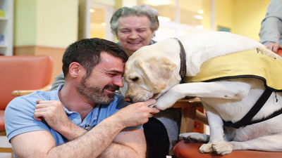 La Comunidad incorpora la terapia asistida con animales para mayores dependientes o con alzheimer