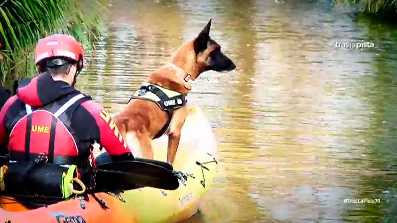Así trabaja la UME en ríos y cauces de agua
