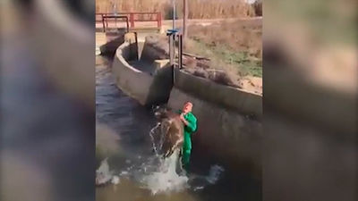 Tras la pista 24.01.2018