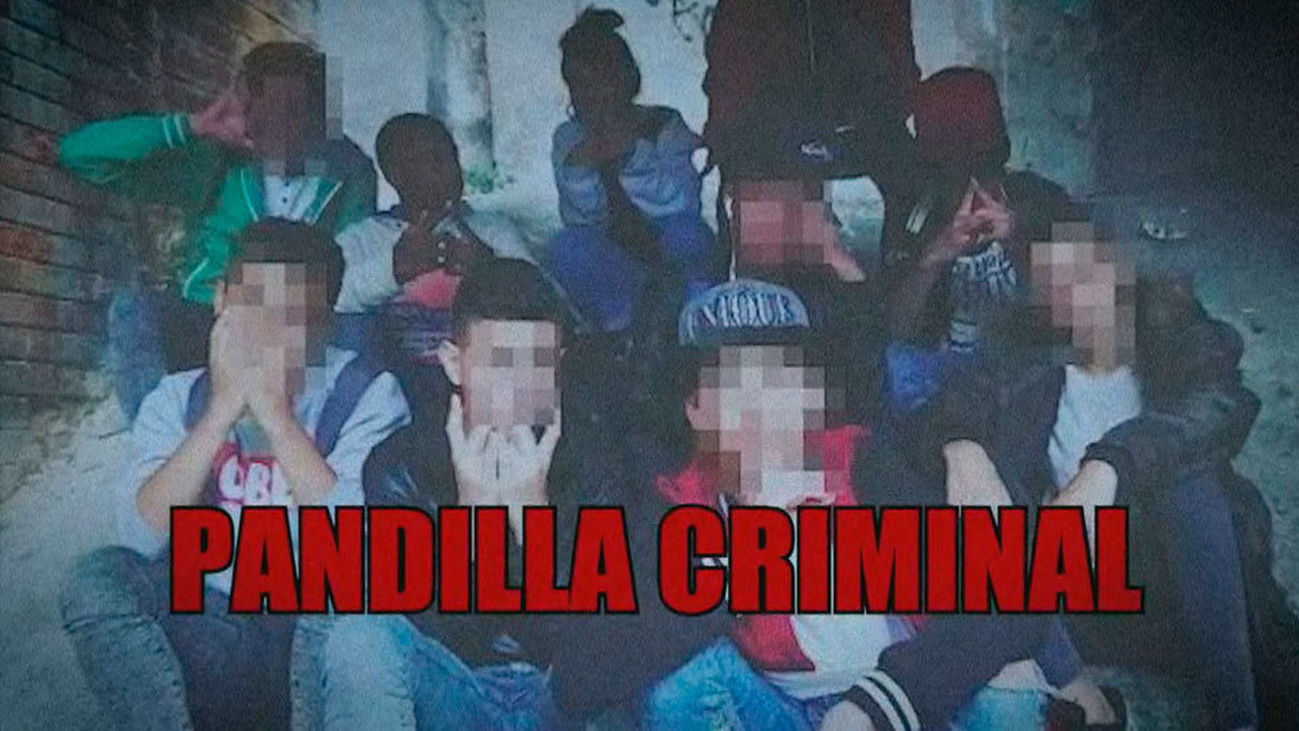 La pandilla criminal