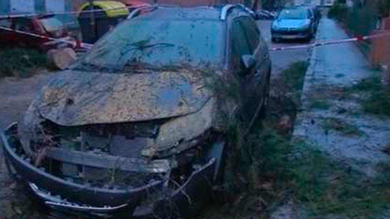 Un árbol se desploma en Carabanchel