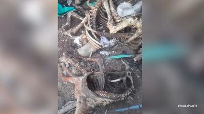 La finca de los horrores de Bormujos