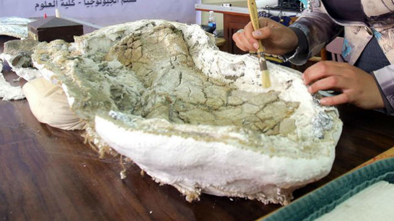 "Mansurasaurio", el dinosaurio que prueba la conexión entre África y Europa