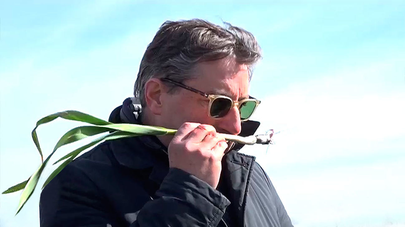 Joan Roca redescubre los productos de la huerta madrileña