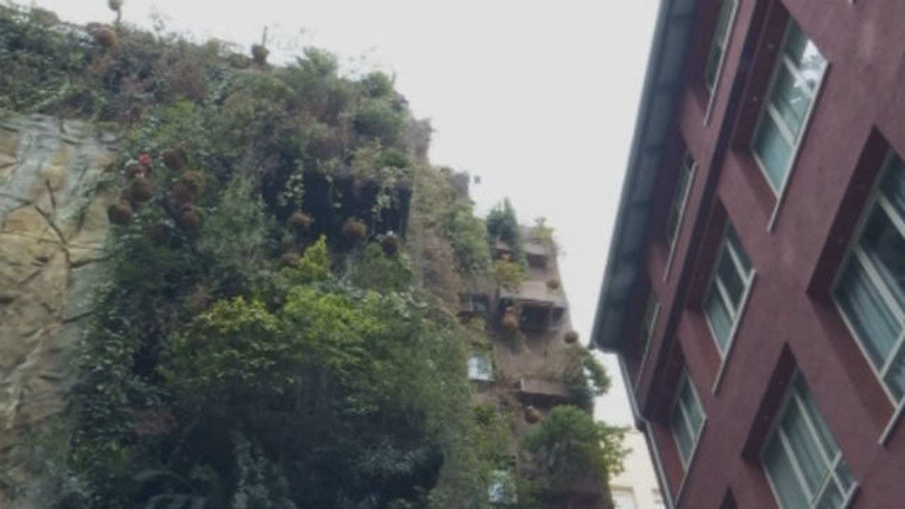 Un jardín vertical en plena Gran Vía