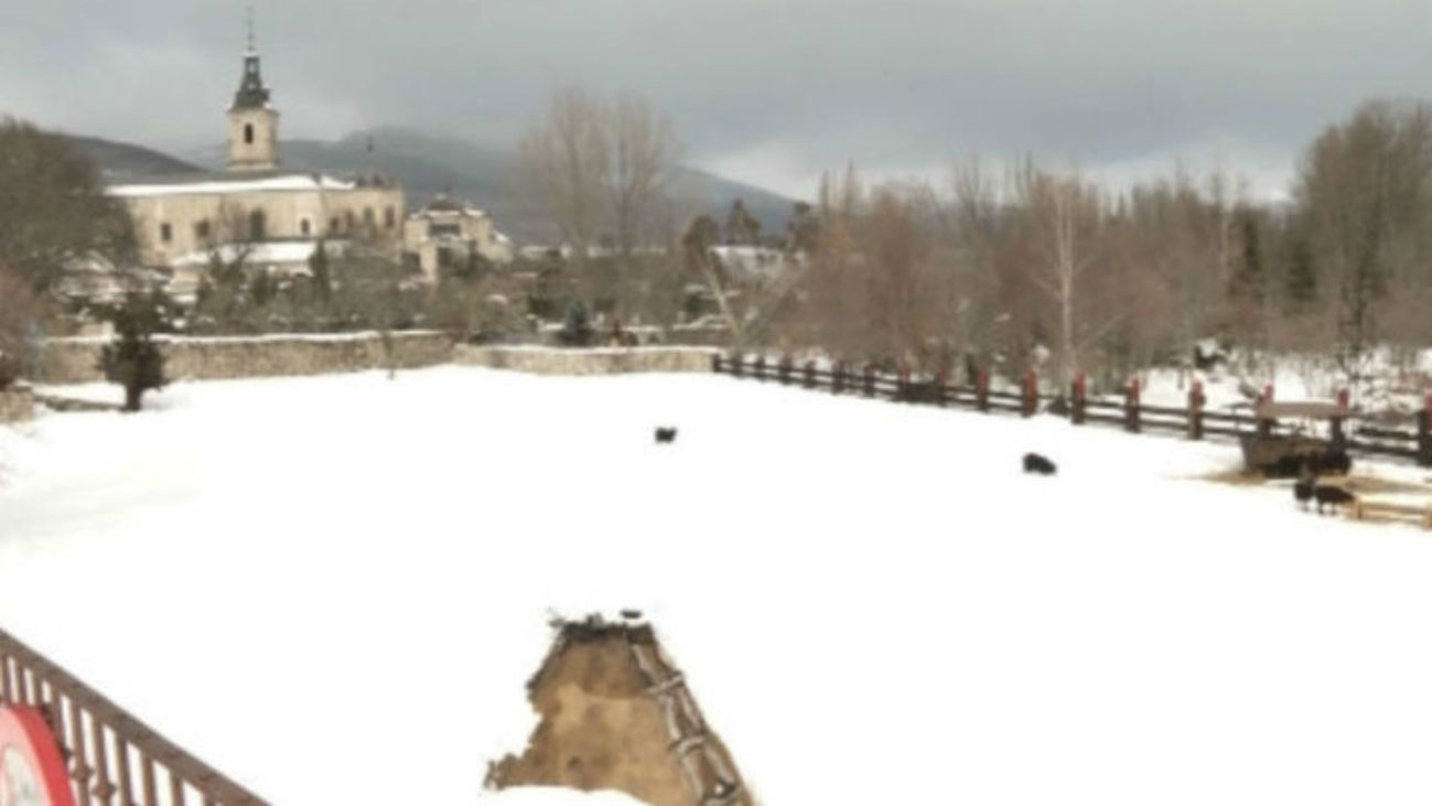 Nos vamos de escapada a Rascafría