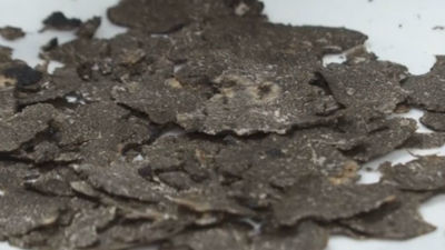 Degustamos la comida tradicional numantina