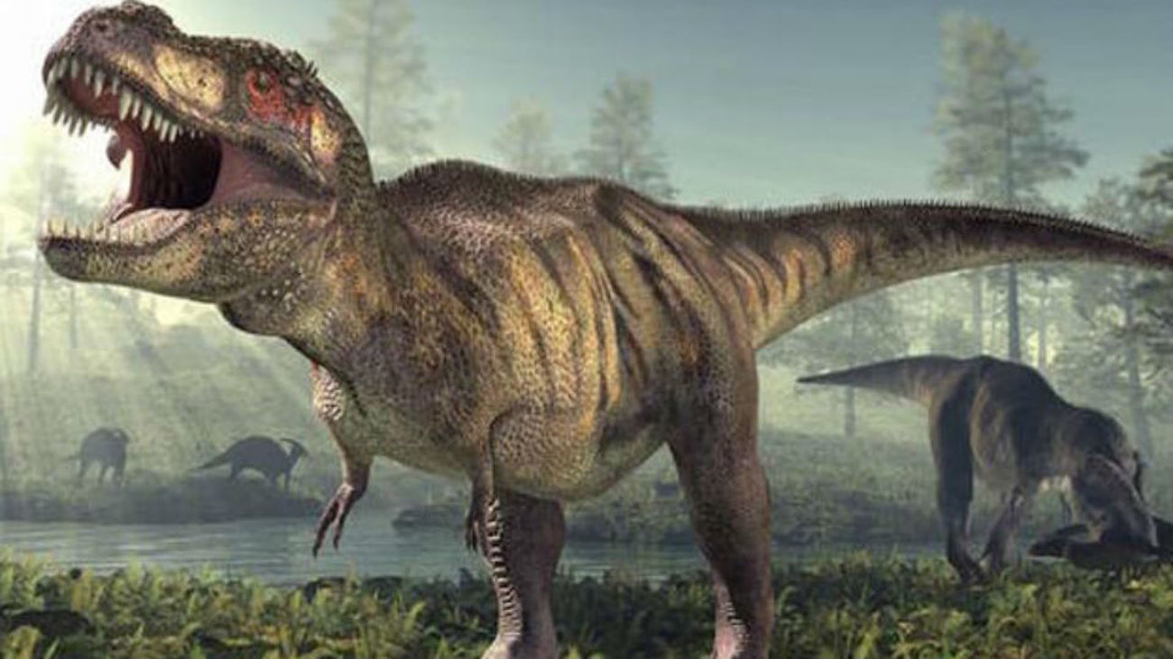 Las aves dan claves de la locomoción de dinosaurios como Tirannosaurus Rex