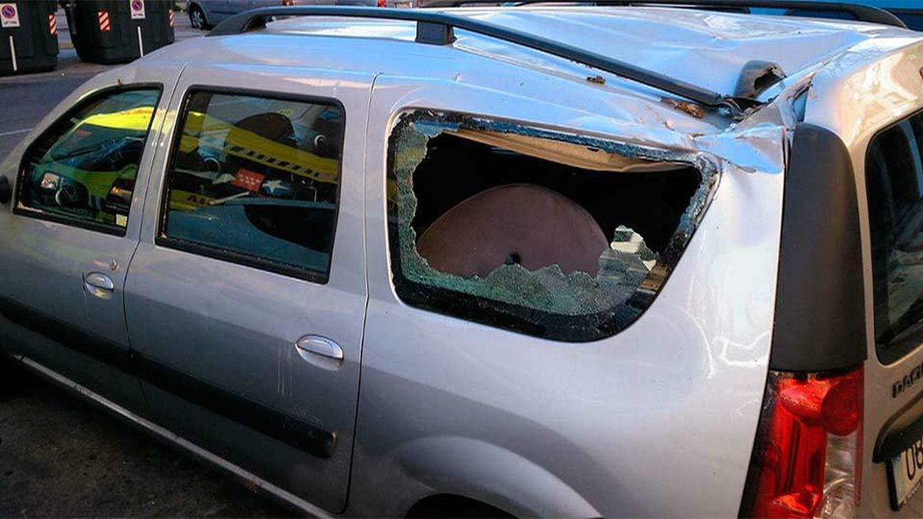 Cae un árbol sobre su coche y nadie le avisa