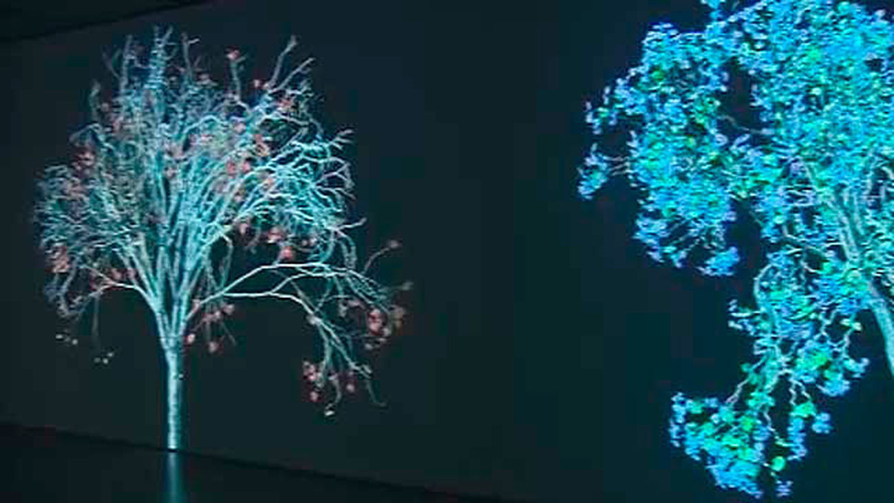 "Naturaleza Digital"  de Jennifer Steinkamp en Espacio Fundación Telefónica