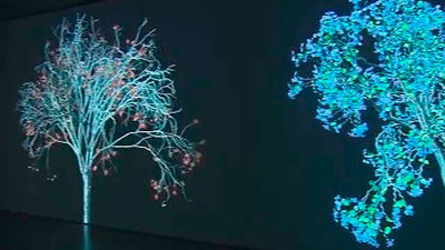 "Naturaleza Digital"  de Jennifer Steinkamp en Espacio Fundación Telefónica