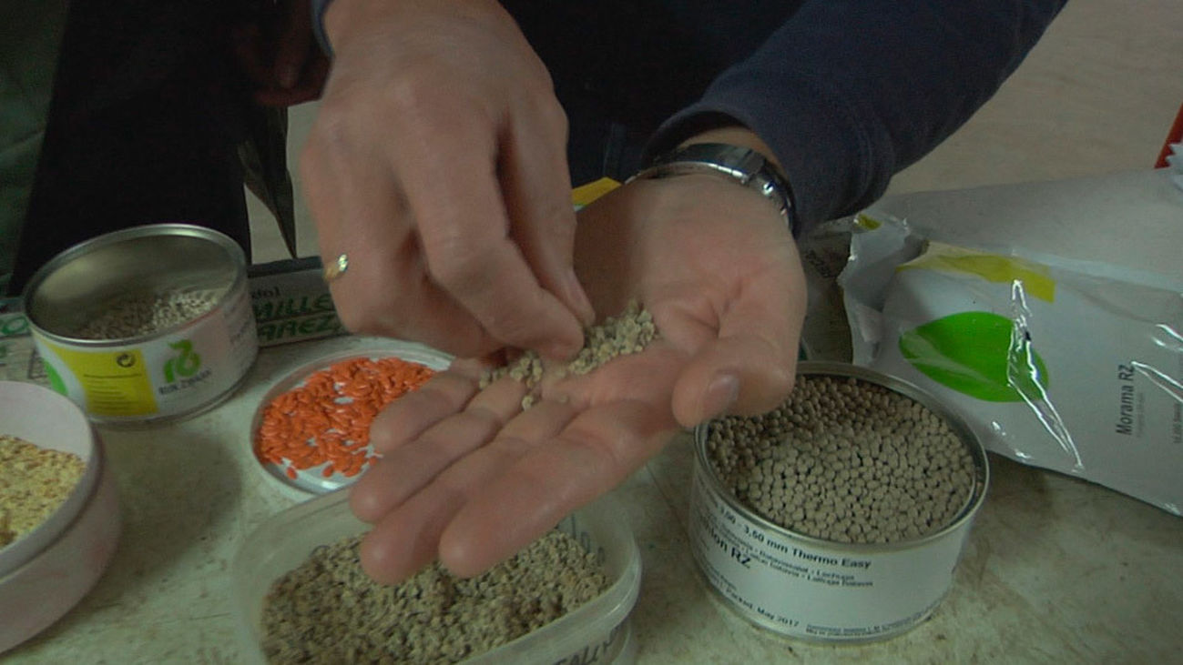 Época de semilleros: Los viveros echan humo