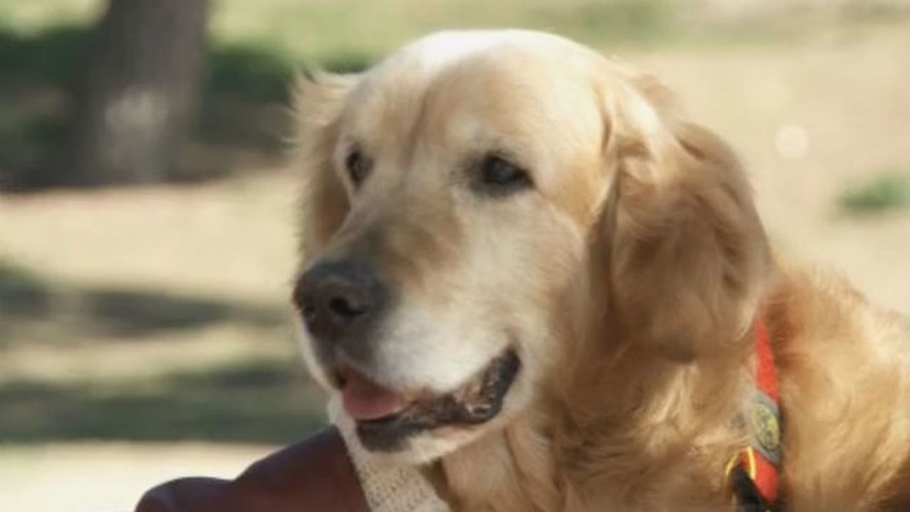 Una merecida retirada para estos héroes