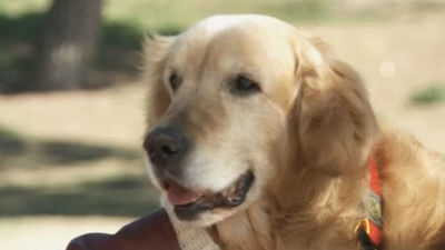 Una merecida retirada para estos héroes