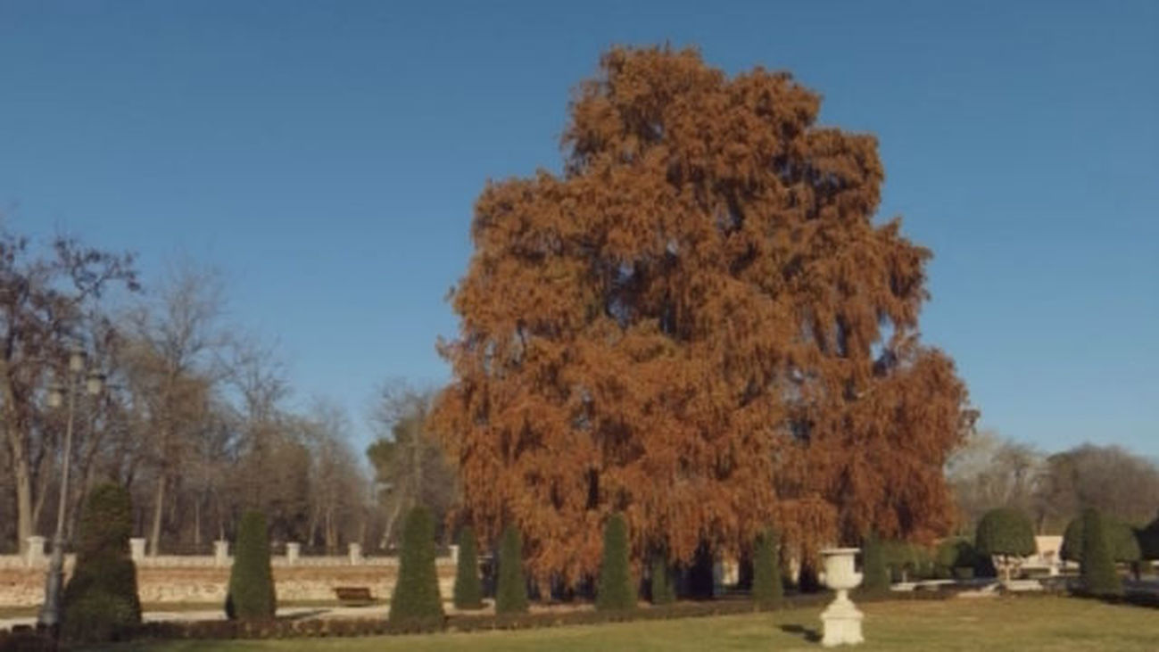 Visita a los orígenes del Parque de El Retiro