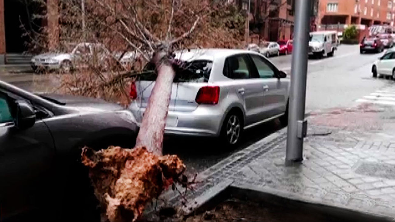 El viento afecta a toda la Comunidad de Madrid