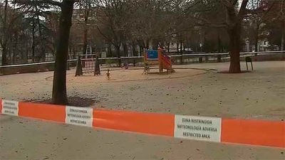 El Parque del Retiro no abrirá este miércoles  por la mañana para revisar el estado del arbolado