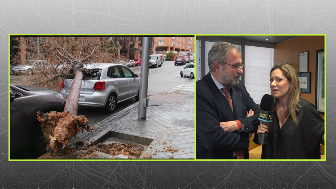 ¿Quién paga los daños de los vehículos por los efectos del viento?