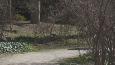 Nos adentramos en el Real Jardín Botánico